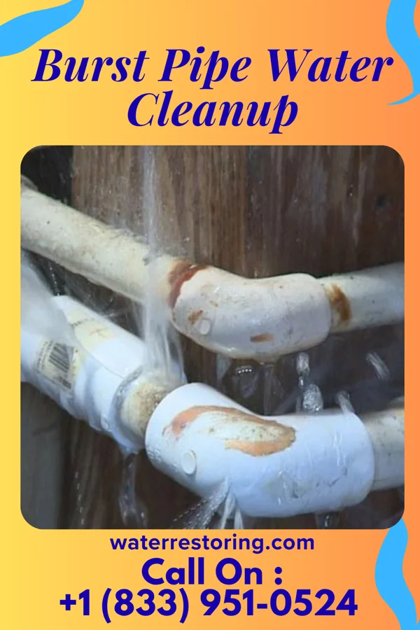 Burst Pipe Water Cleanup in Stoddard, WI