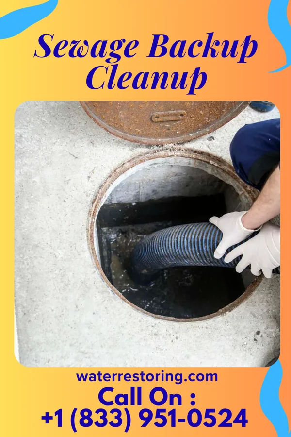Sewage Backup Cleanup in Stoddard, WI