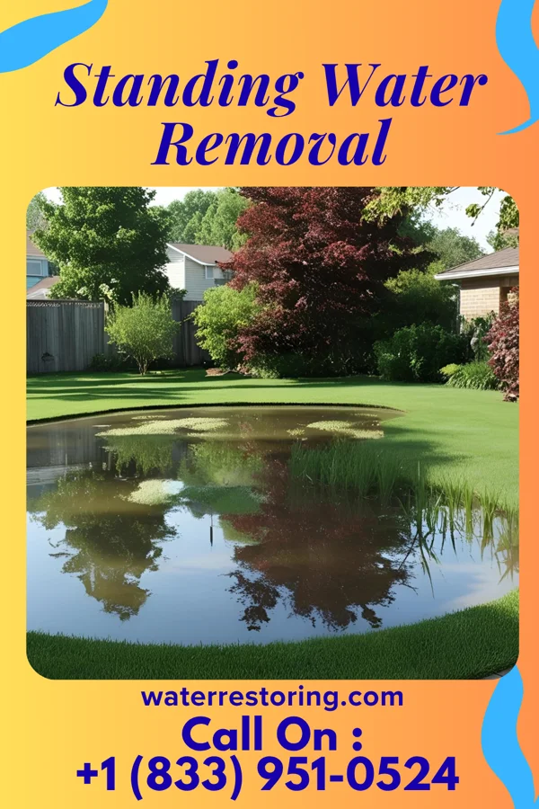 Standing Water Removal in Stoddard, WI